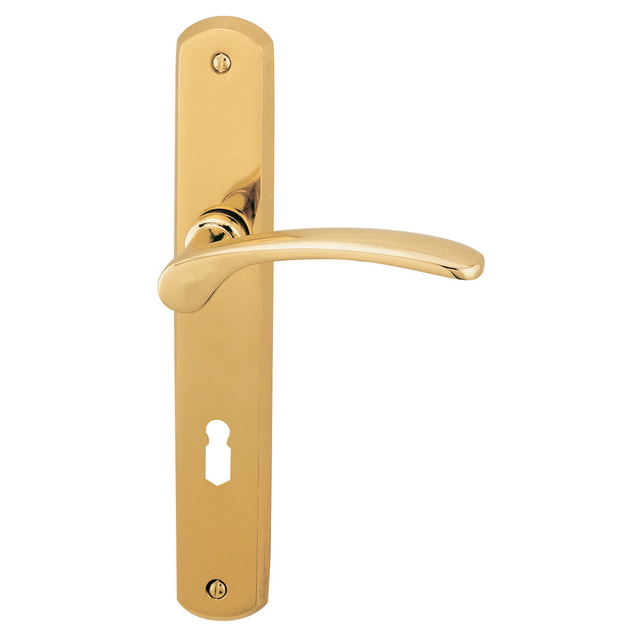 ALPERTEC Langschild-Garnitur »Amos«, Messing - goldfarben