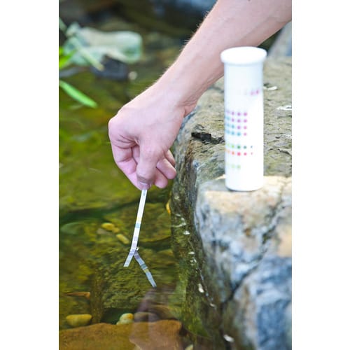 HEISSNER Schnell-Test, 6 in 1 - gruen