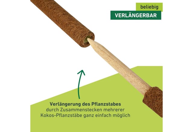 WINDHAGER Rankhilfe, holz - braun
