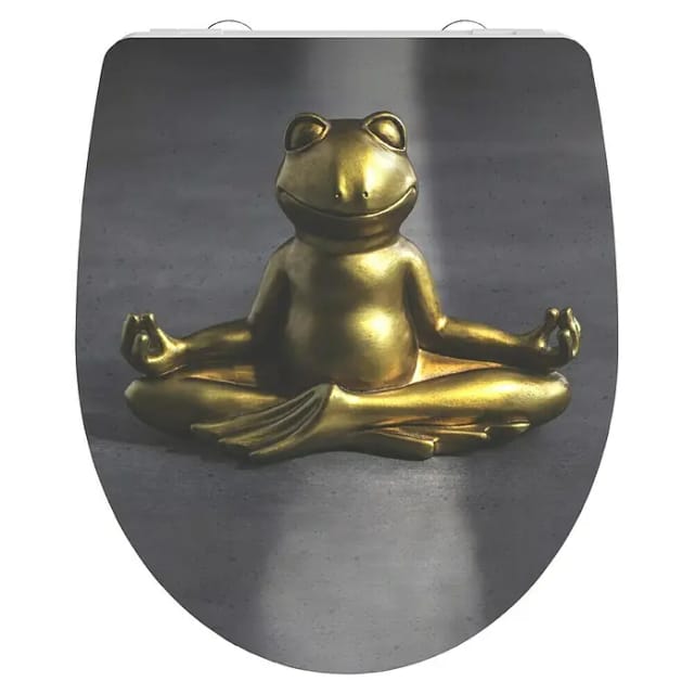SCHÜTTE WC-Sitz »Relaxing frog«, Duroplast, oval, mit Softclose-Funktion - grau