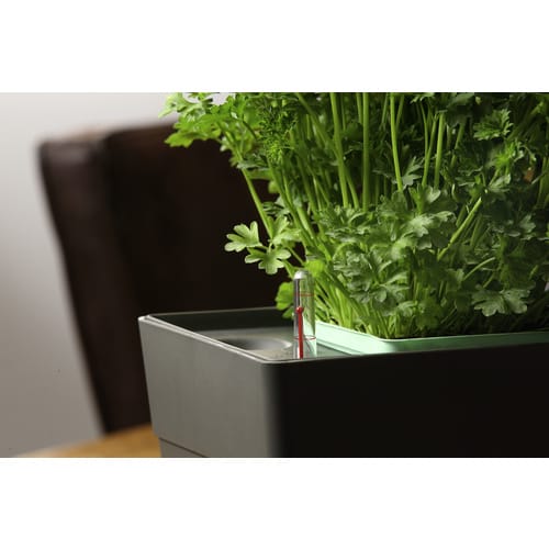 GREENBAR Wasserstandsanzeiger, für GREENBAR® Kräuerbox - schwarz