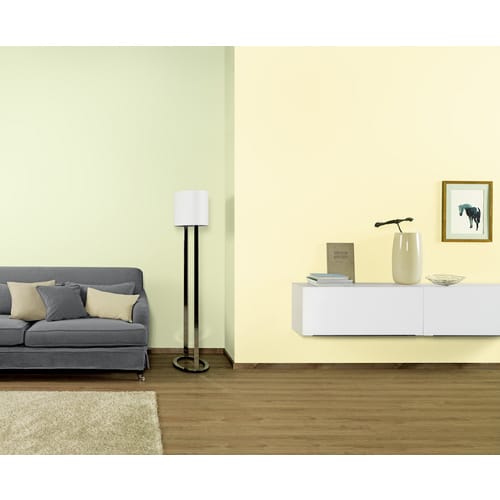 RENOVO Dispersionsfarbe - gruen
