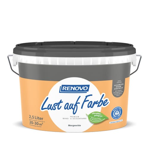 RENOVO Dispersionsfarbe - orange