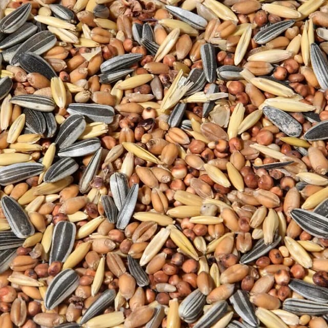 DOBAR Vogelfutter »Streufutter gemischt«, à 20000 g