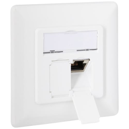WENTRONIC UAE-Dose, CAT 6, Weiß - weiss
