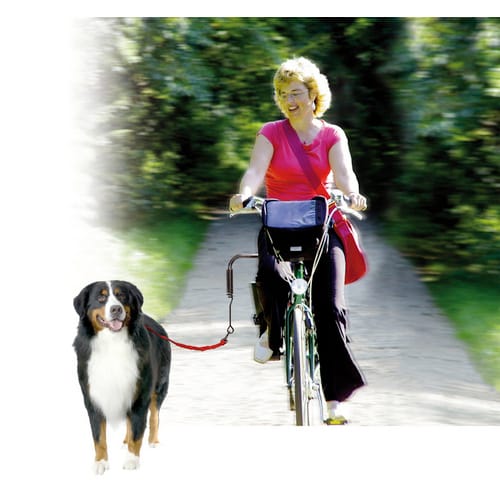 Fahrradzubehör, für Hunde, Metall, schwarz