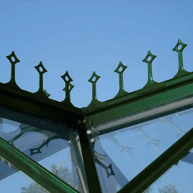 VITAVIA Firstkrone - gruen