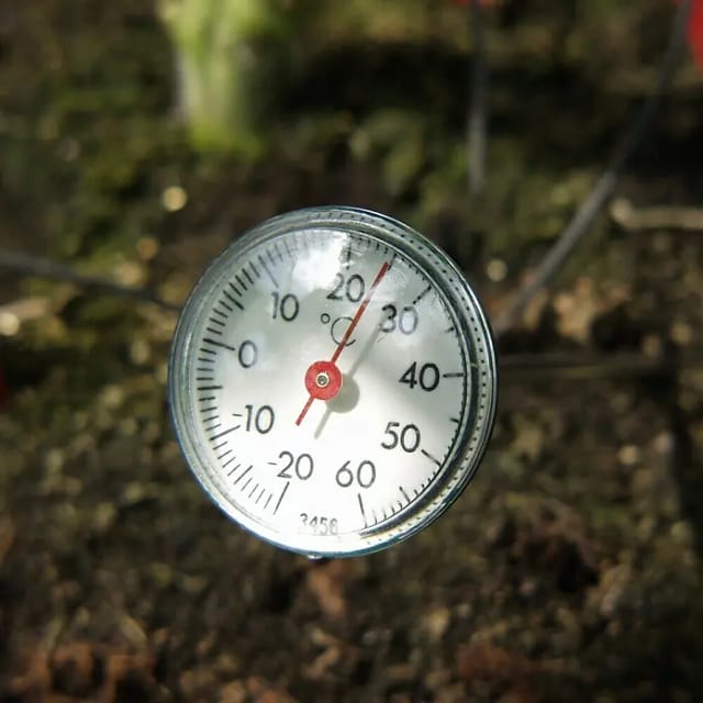 VITAVIA Erdthermometer - silberfarben