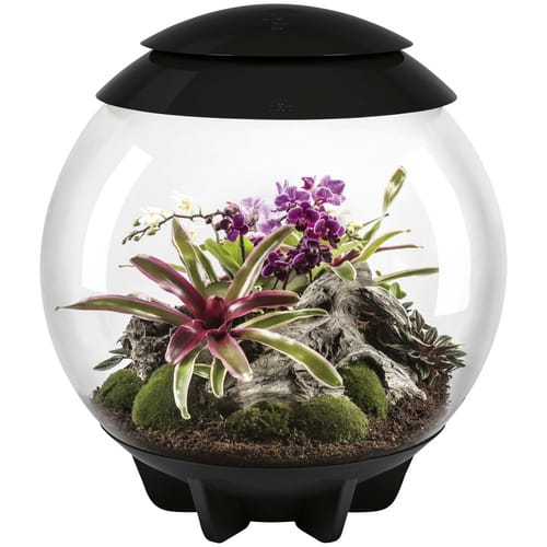 OASE Terrarium »AIR 60«, mit LED Beleuchtung, 60 l, schwarz