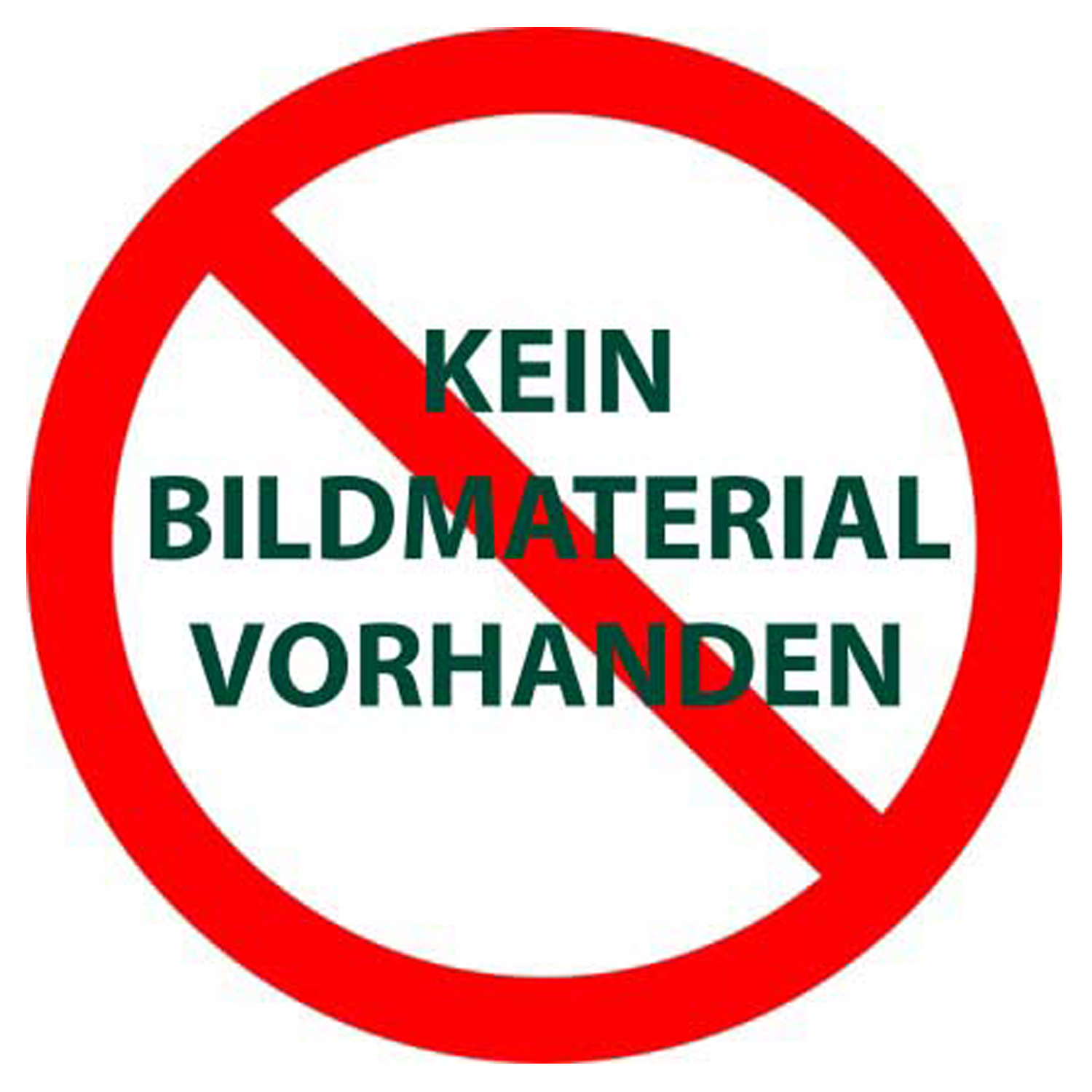 Kgt Rückwandfenster Für Gerätehaus "elbe" Silber Ohne Verglasung