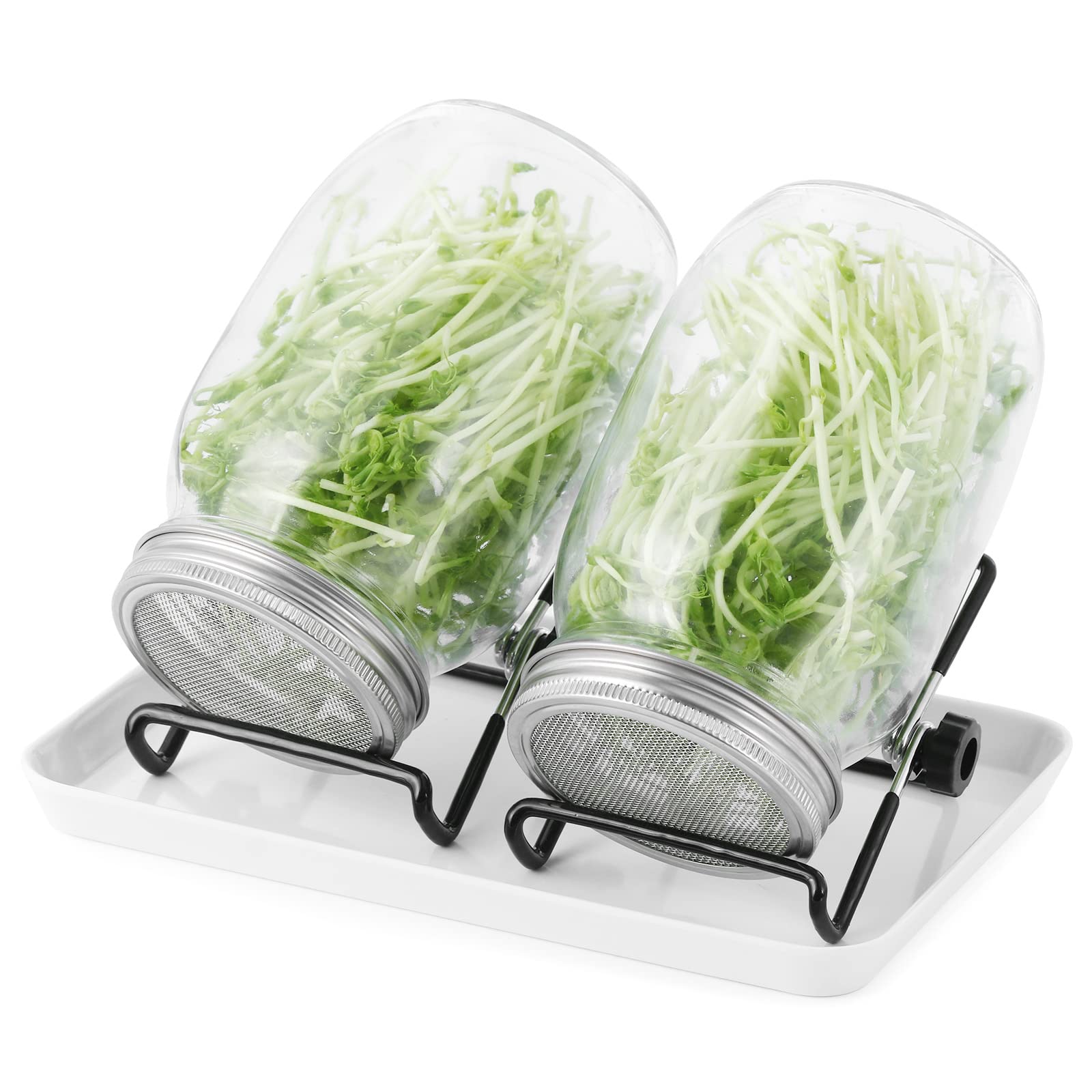 Sprossenglas Set2er-set 1000ml Keimglas Mit Deckeln Und Haltern Und Schalensprossengläser Für Die Sprossenzucht Und Keimung Von Samen