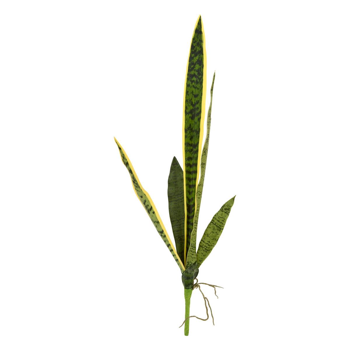 Sansevieria-stängel „nippo“, Höhe 80 Cm, Grün - Atmosphera Créateur D'Intérieur