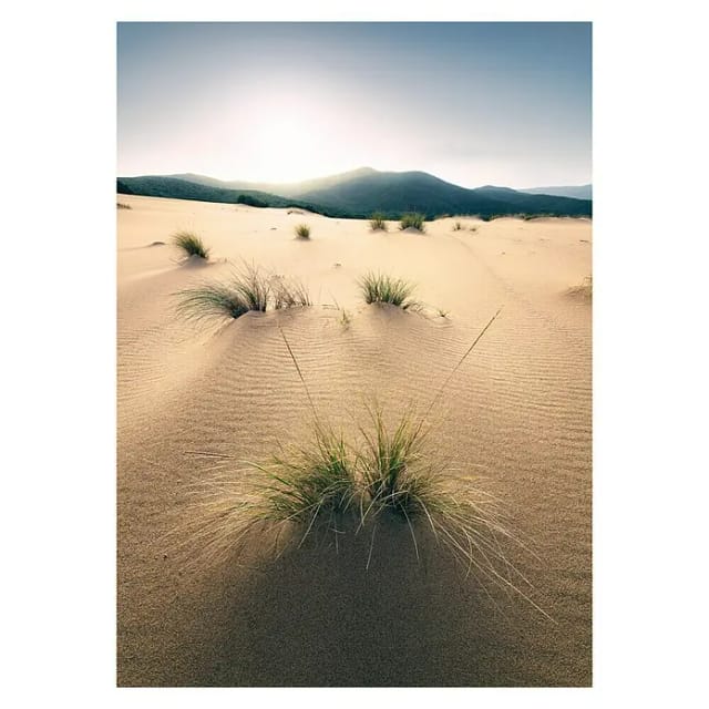 KOMAR Vliestapete »Vivid Dunes«, Breite 200 cm, seidenmatt - bunt