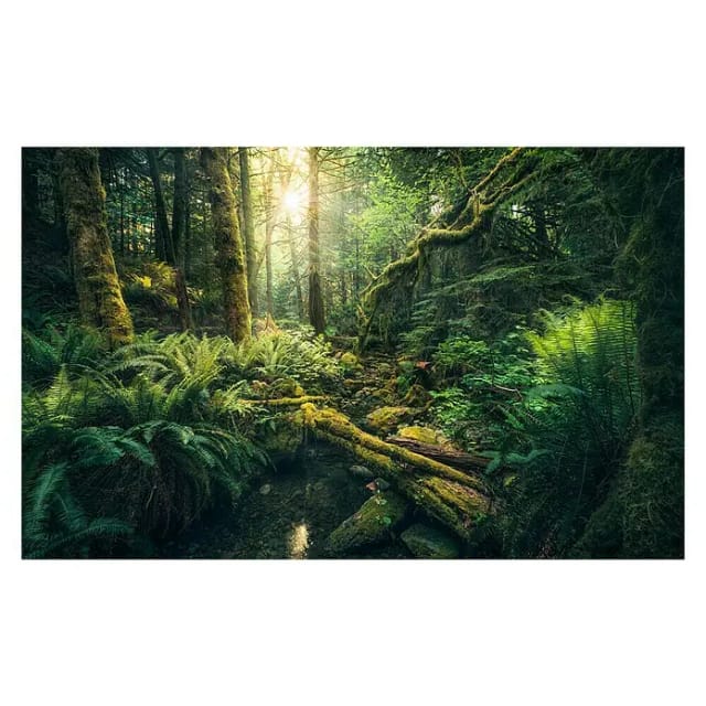 KOMAR Vliestapete »Elves Cathedral«, Breite 450 cm, seidenmatt - bunt
