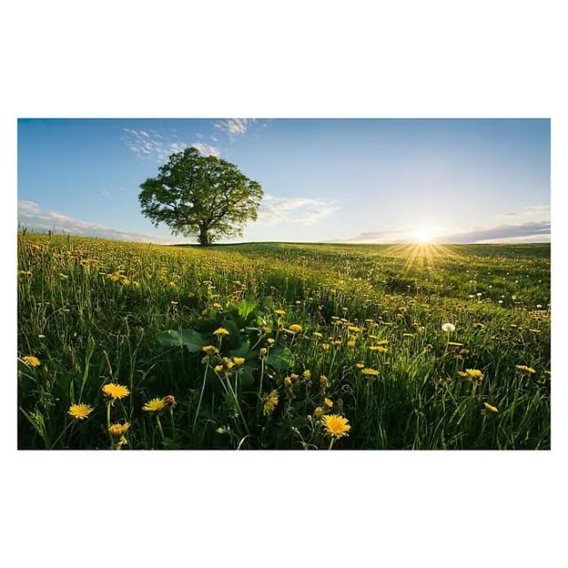 KOMAR Vliestapete »Frühling«, Breite 450 cm, seidenmatt - bunt