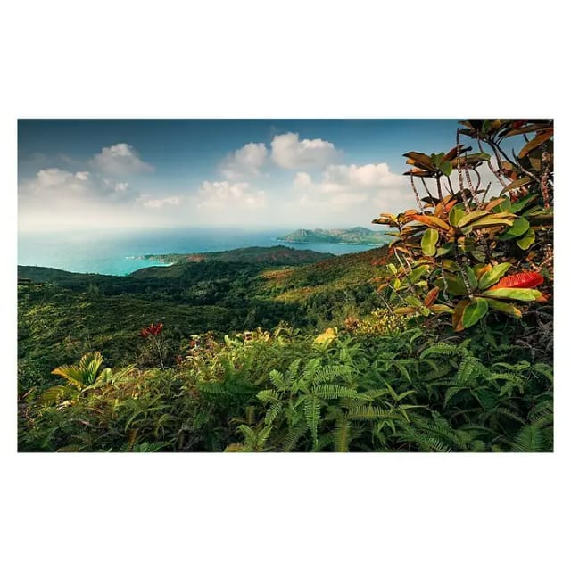 KOMAR Vliestapete »Heavens Balcony«, Breite 450 cm, seidenmatt - bunt