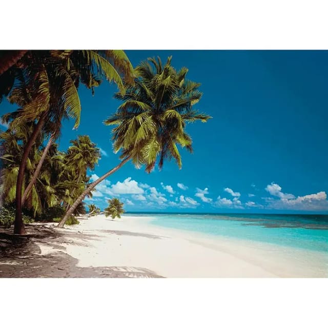 KOMAR Papiertapete »Maldives«, Breite: 388 cm, inkl. Kleister - bunt