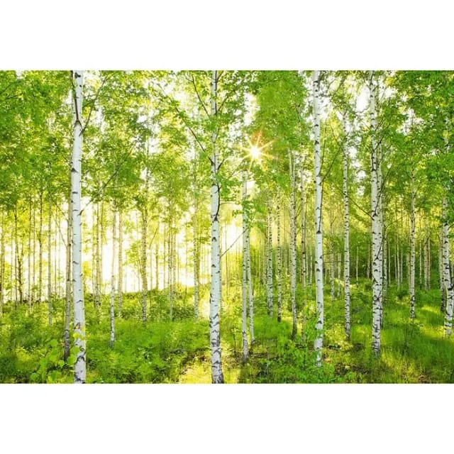 KOMAR Papiertapete »Sunday«, Breite: 368 cm, inkl. Kleister - bunt