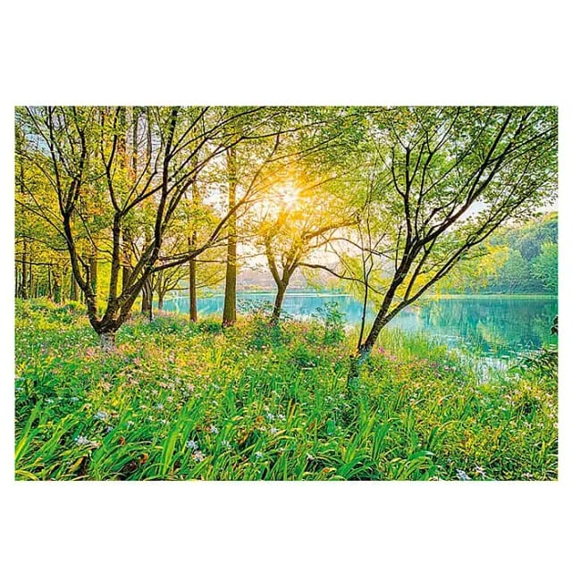 KOMAR Papiertapete »Spring Lake«, Breite: 368 cm, inkl. Kleister - bunt