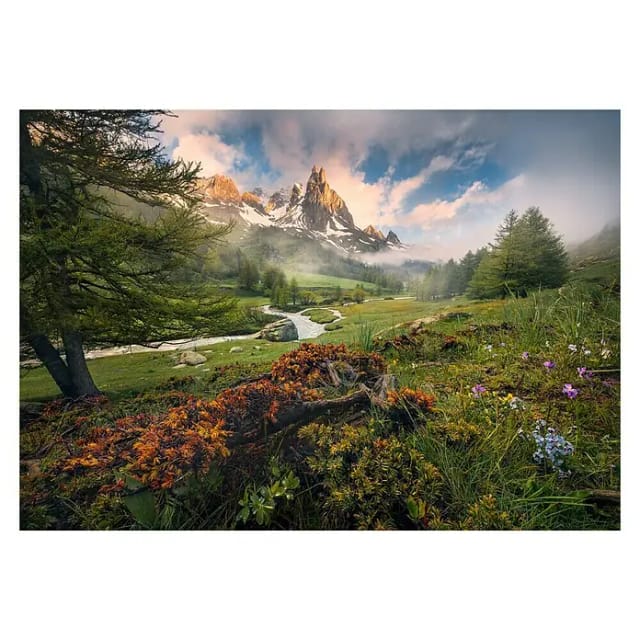 KOMAR Vliestapete »The Last Paradise«, Breite 400 cm, seidenmatt - bunt