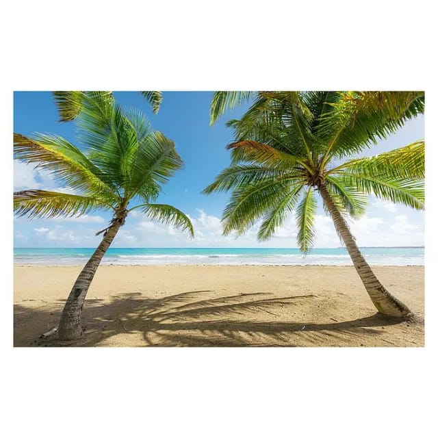 KOMAR Vliestapete »Caribbean Days II«, Breite 450 cm, seidenmatt - bunt