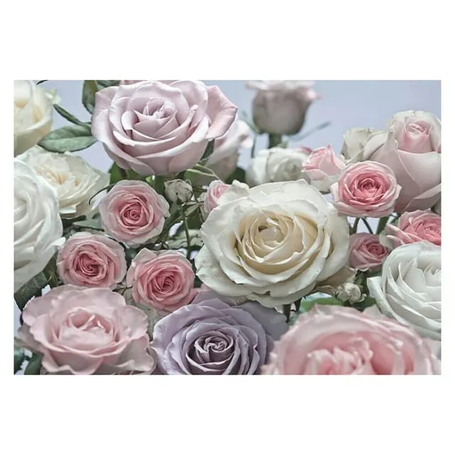 KOMAR Papiertapete »Floraison«, Breite: 368 cm, inkl. Kleister - bunt