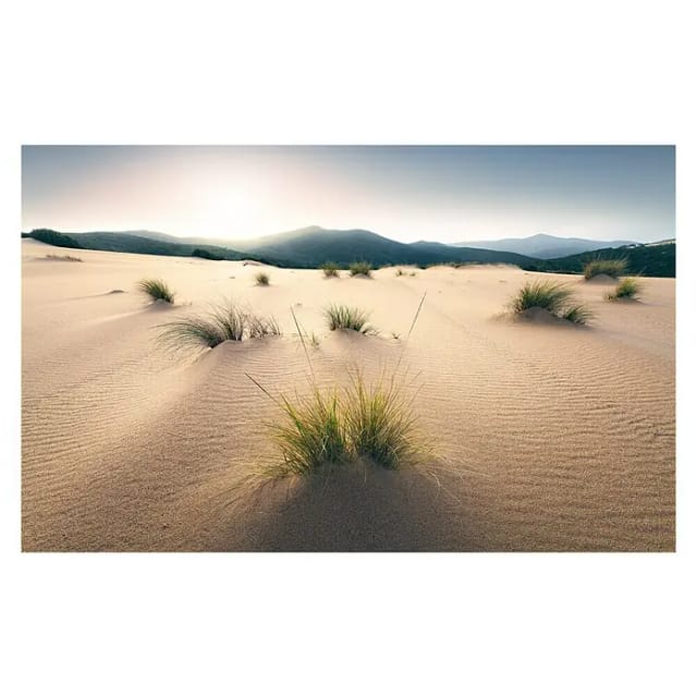 KOMAR Vliestapete »Vivid Dunes«, Breite 450 cm, seidenmatt - bunt