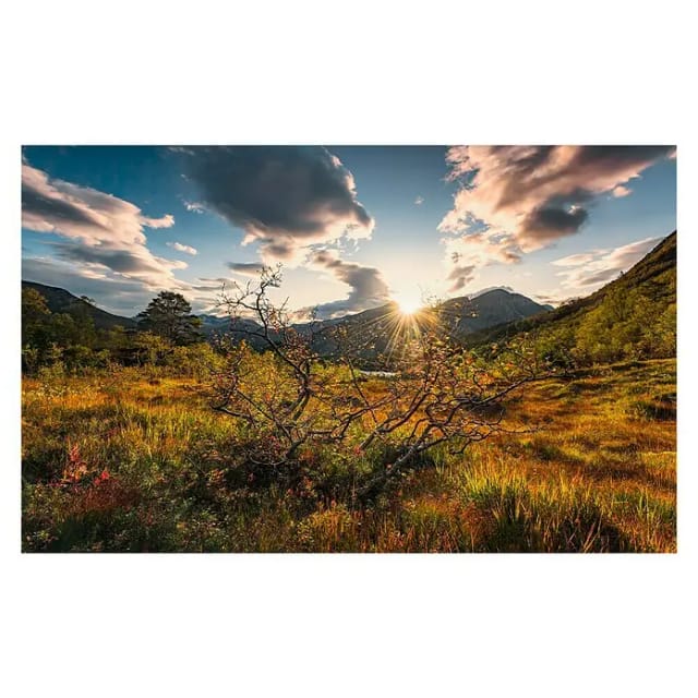 KOMAR Vliestapete »Herbstwelten«, Breite 450 cm, seidenmatt - bunt