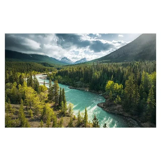 KOMAR Vliestapete »Wild Canada«, Breite 450 cm, seidenmatt - bunt