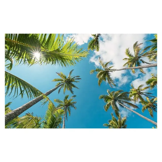 KOMAR Vliestapete »Coconut Heaven II «, Breite 450 cm, seidenmatt - bunt