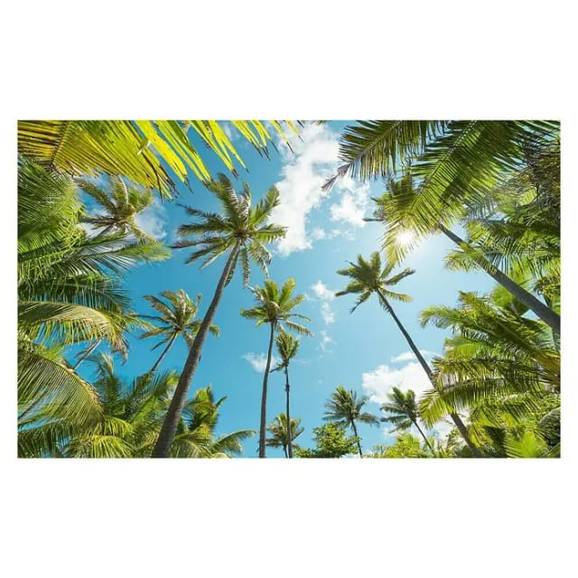KOMAR Vliestapete »Coconut Heaven «, Breite 450 cm, seidenmatt - bunt