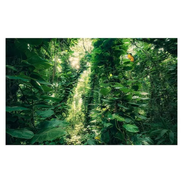 KOMAR Vliestapete »Green Leaves «, Breite 450 cm, seidenmatt - bunt