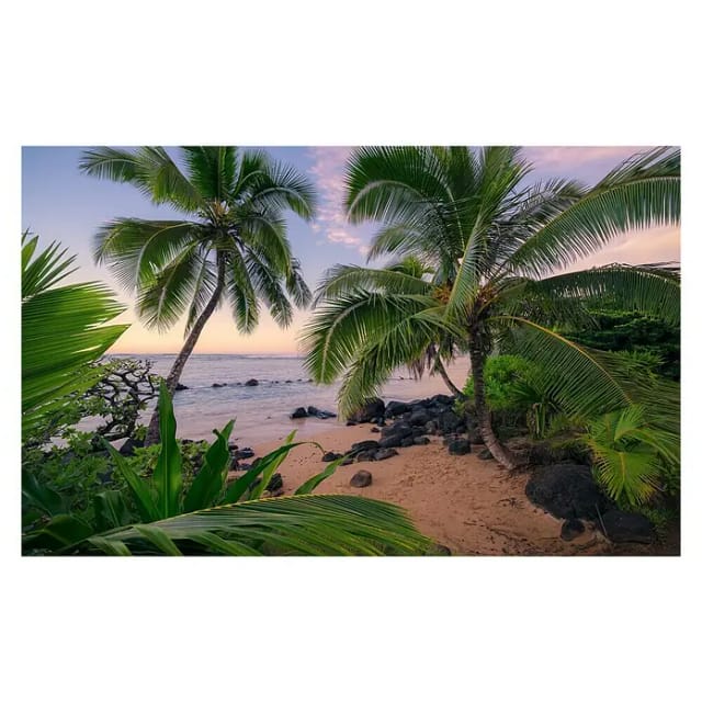 KOMAR Vliestapete »Hawaiian Dreams «, Breite 450 cm, seidenmatt - bunt