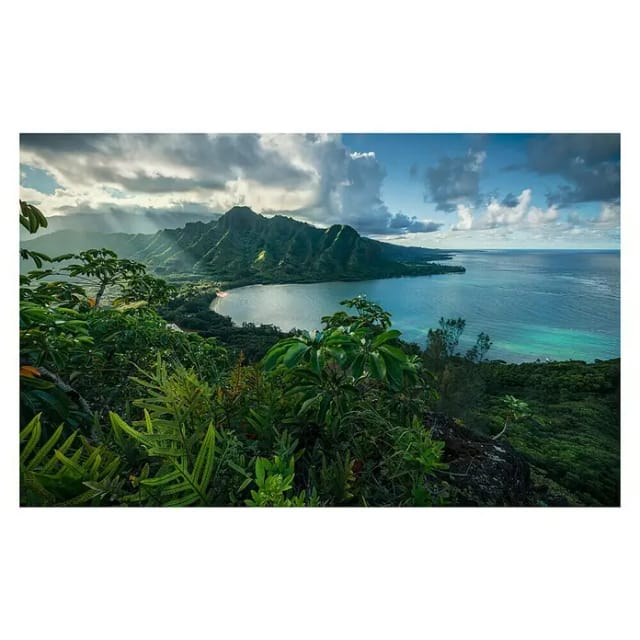 KOMAR Vliestapete »Jurassic Island «, Breite 450 cm, seidenmatt - bunt