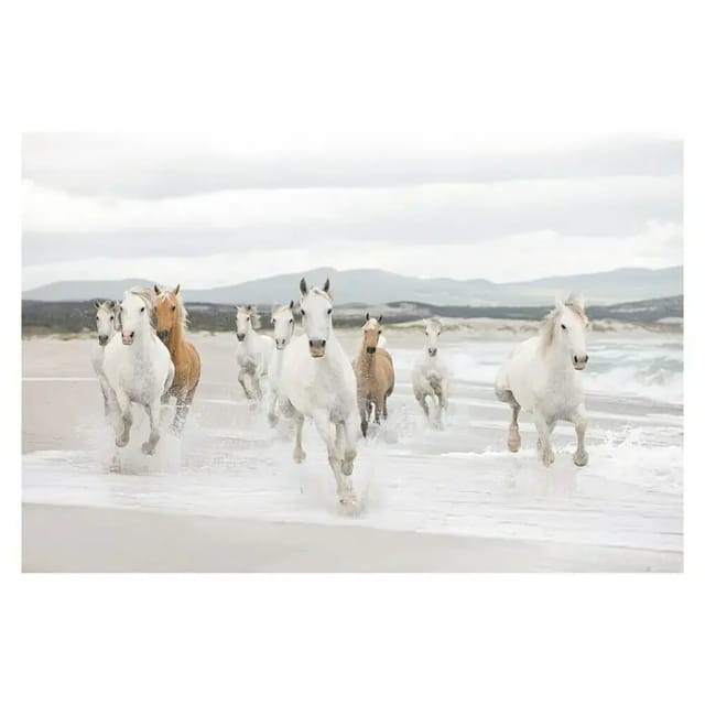 KOMAR Papiertapete »White Horses«, Breite: 368 cm, inkl. Kleister - bunt