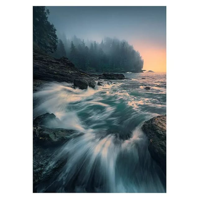KOMAR Vliestapete »Cry of the Sea«, Breite 200 cm, seidenmatt - bunt
