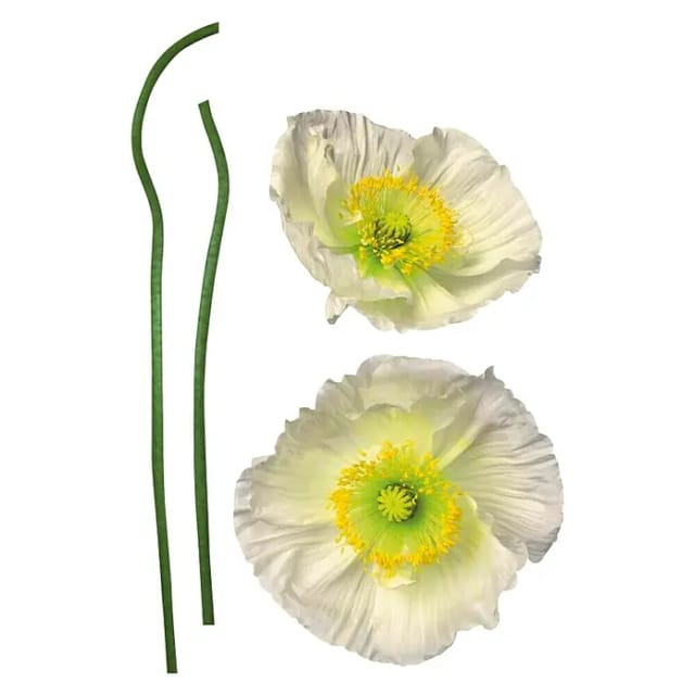 KOMAR Dekosticker »Pavot Blanc«, BxH: 50 x 70 cm - bunt