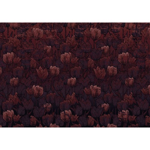 KOMAR Vliestapete »Tulipe«, Breite 400 cm, seidenmatt - bunt
