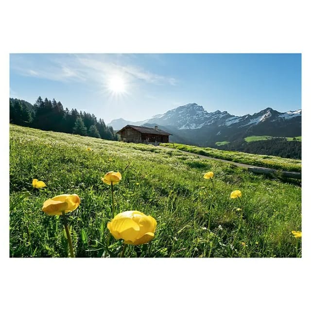 KOMAR Vliestapete »Alpenglück«, Breite 400 cm, seidenmatt - bunt