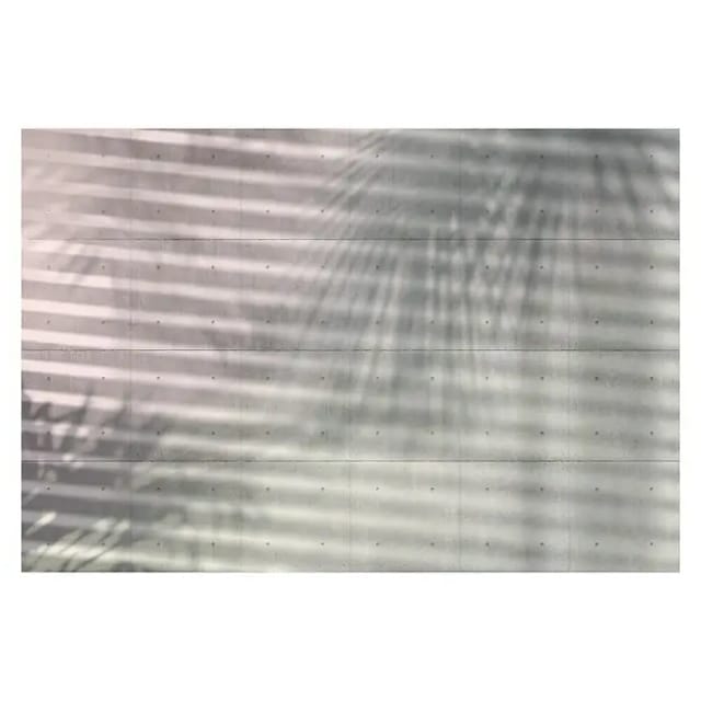 KOMAR Vliestapete »Shadow«, Breite: 368 cm, inkl. Kleister - bunt
