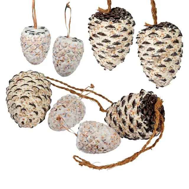 DOBAR Vogelfutter, 4 x Riesenzapfen, 4x Meisenzapfen - weiss