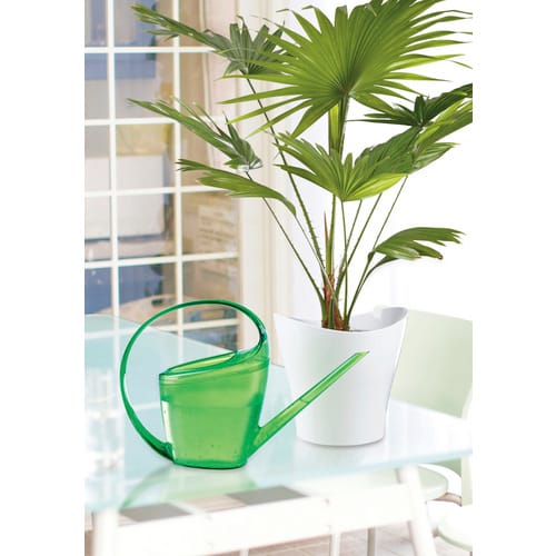 SCHEURICH Gießkanne »LOOP«, 1,4 l, grün, Höhe: 23,5 cm - gruen
