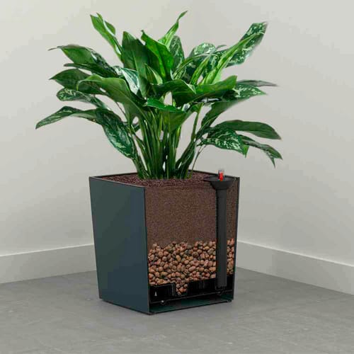 SIENA GARDEN Pflanzgefäß »Modern«, Kunststoff, graphitfarben, rechteckig - grau