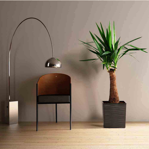 SIENA GARDEN Pflanzgefäß »Modern«, Kunststoff, graphitfarben, rechteckig - grau Bild 4