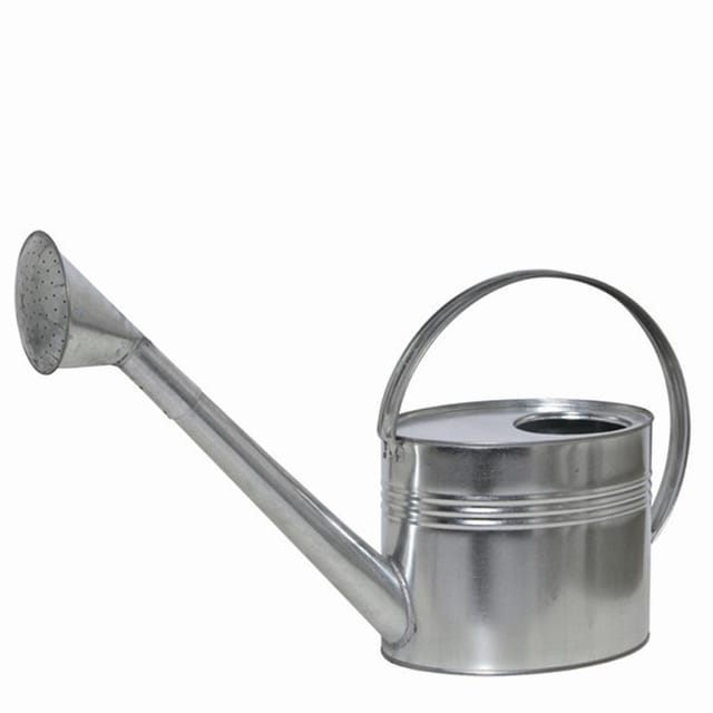 SIENA GARDEN Gießkanne, 7 l, silberfarben, Höhe: 32 cm