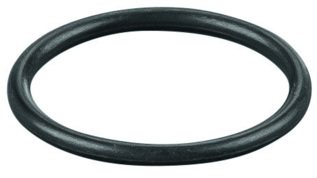 Rems O-ring 060303