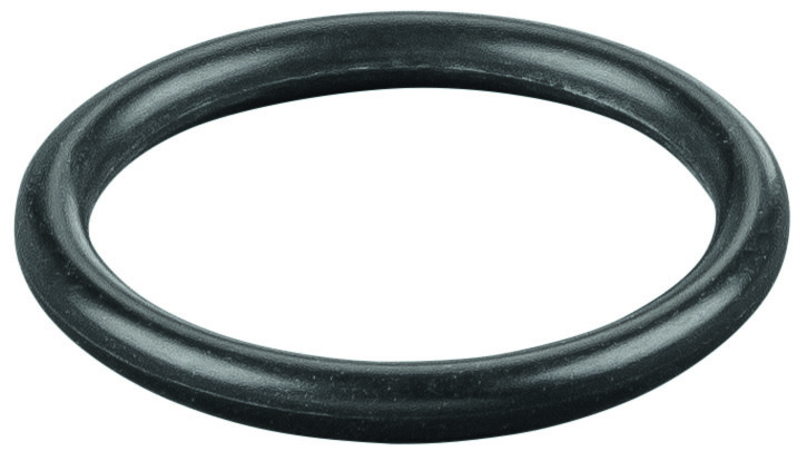 Rems O-ring 060383