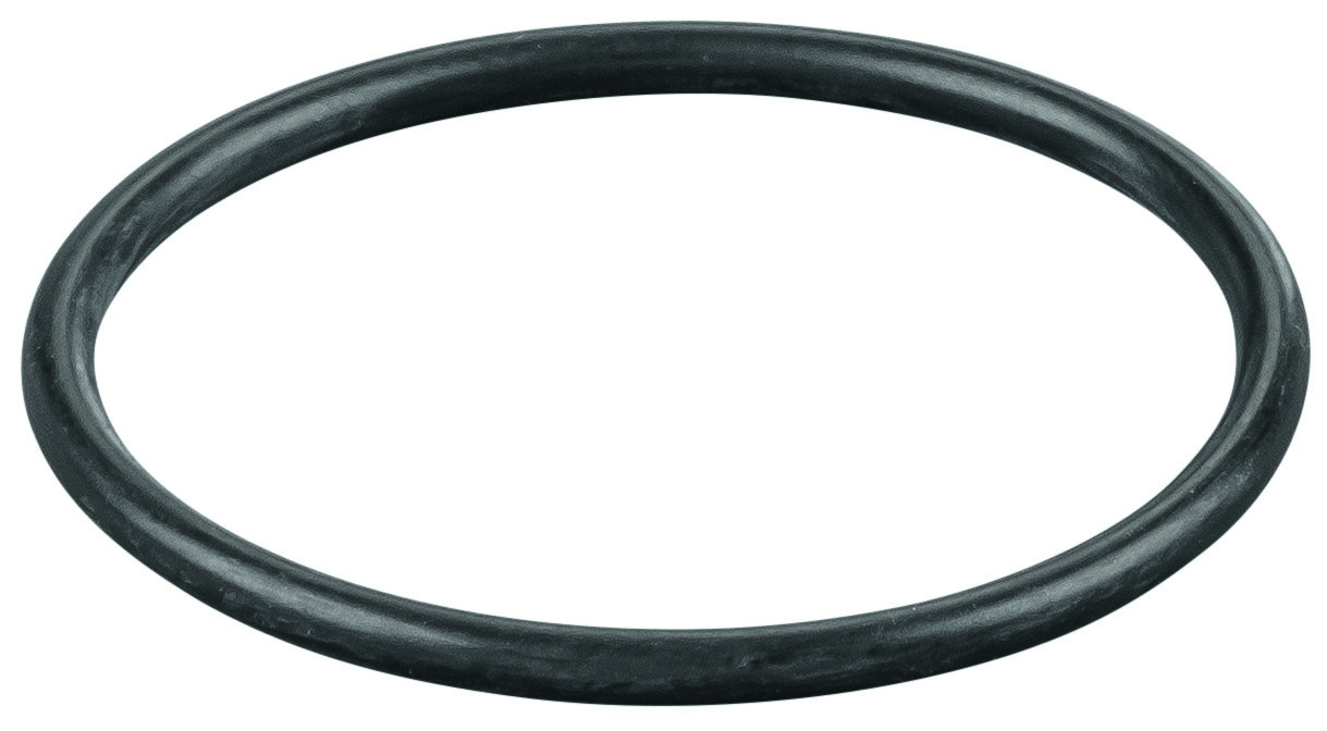 Rems O-ring 060318