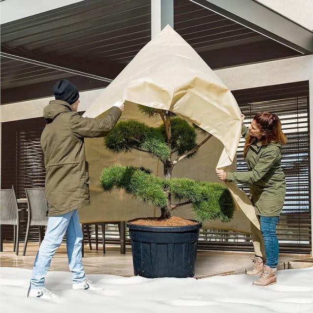 WINDHAGER Winterschutzsack, W-Vlieshaube S-PRO XXL, 2,0 x 2,4 m - beige