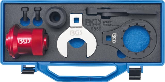 BGS Technic KFZ Spezialwerkzeuge, Werkzeug-Satz Differentialflansch und Einlegemutter - bunt